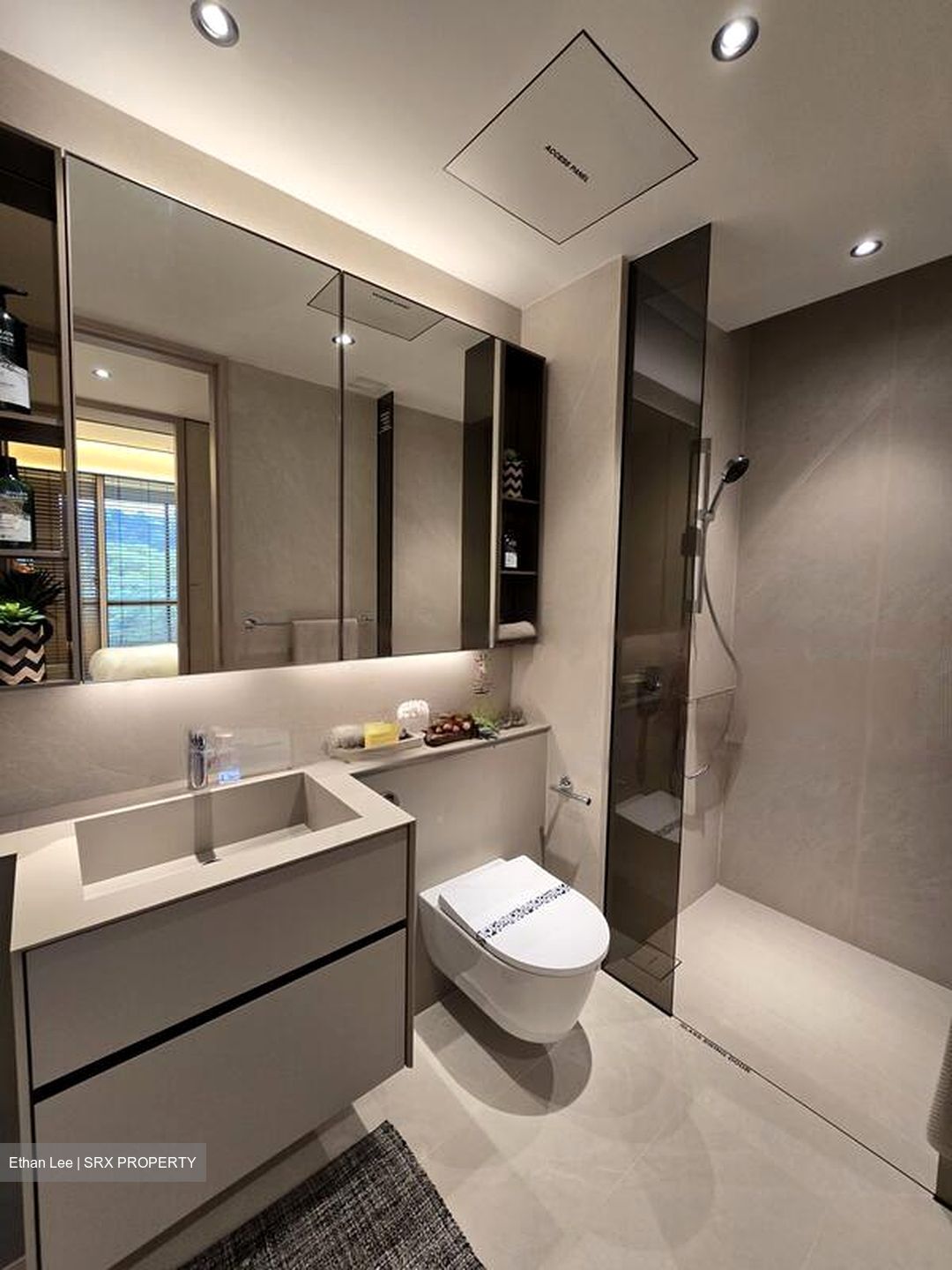 Havelock Road (D1), Apartment #462850091